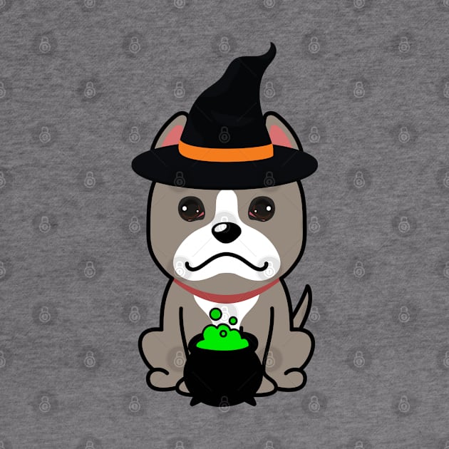 Cute grey dog is a witch by Pet Station